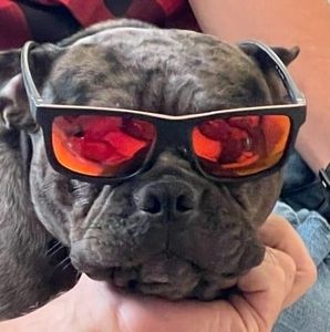 Meet your Posher, Eddy